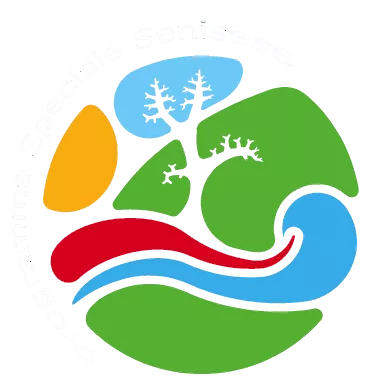 Programma Speciale Senisese
